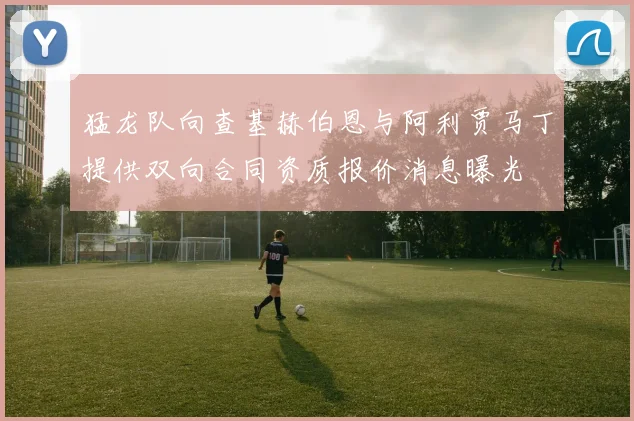 猛龙队向查基赫伯恩与阿利贾马丁提供双向合同资质报价消息曝光